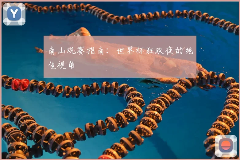 南山观赛指南:世界杯狂欢夜的绝佳视角