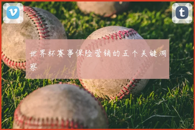 世界杯赛事保险营销的五个关键洞察