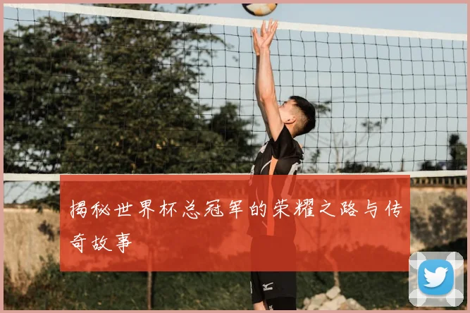 揭秘世界杯总冠军的荣耀之路与传奇故事