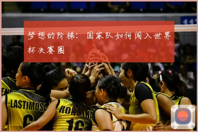 梦想的阶梯:国家队如何闯入世界杯决赛圈